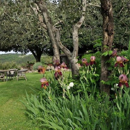 Castello Di Colognole - Appartamento Quaratesi Greve in Chianti Kültér fotó