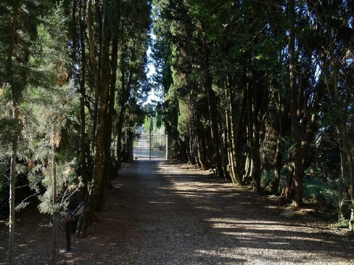 Castello Di Colognole - Appartamento Quaratesi Greve in Chianti Kültér fotó